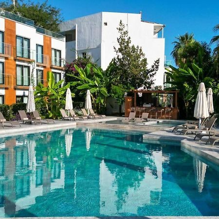 Bodrum Astrid Hotel Gümüşlük Ngoại thất bức ảnh